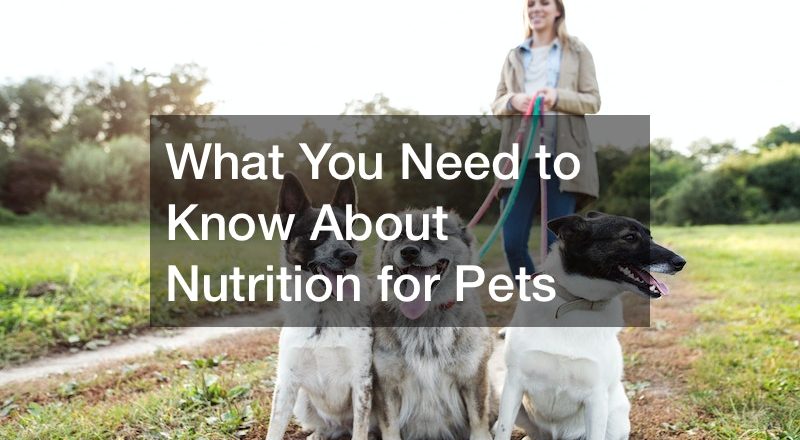What You Need to Know About Nutrition for Pets
