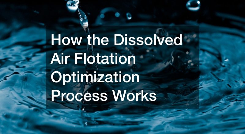 How the Dissolved Air Flotation Optimization Process Works